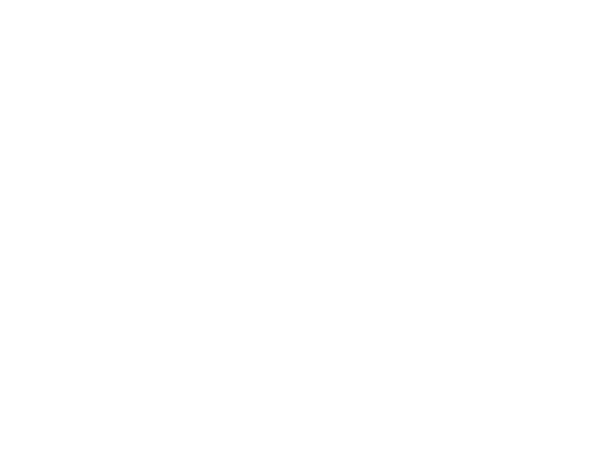 logo Alison Bochard
